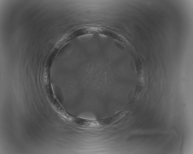 X0000081610715200701151405