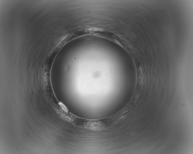 X0000081610716200701151405