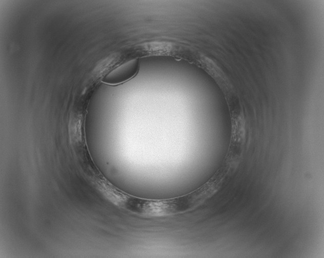 X0000081610717200701151405