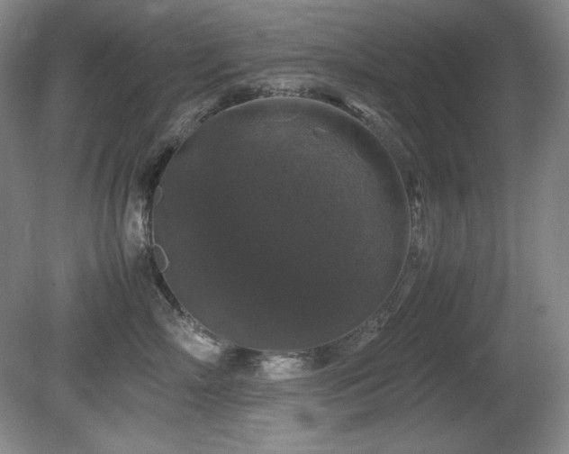 X0000081610718200701151405