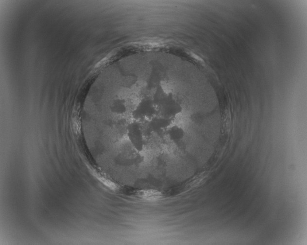 X0000081610719200701151405