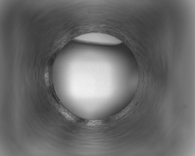 X0000081610720200701151405