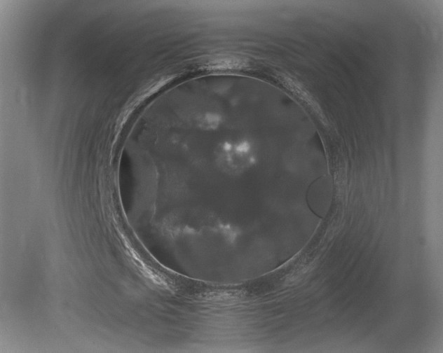 X0000081610721200701151404