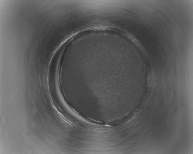 X0000081610722200701151404