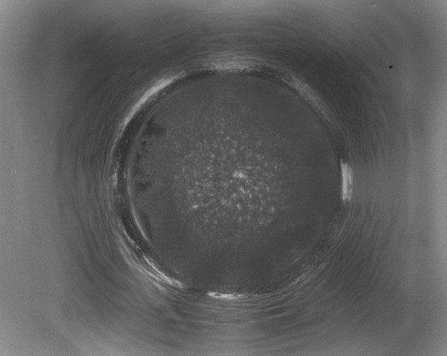 X0000081610723200701151404