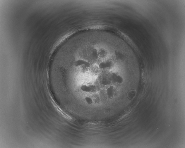 X0000081610725200701151404