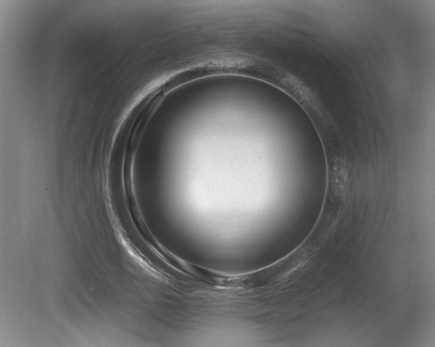 X0000081610726200701151404