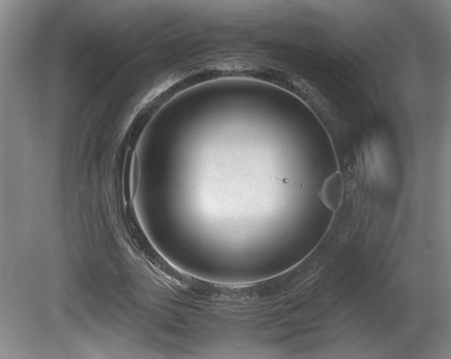 X0000081610727200701151404