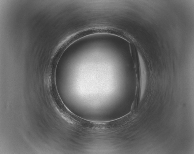 X0000081610728200701151404