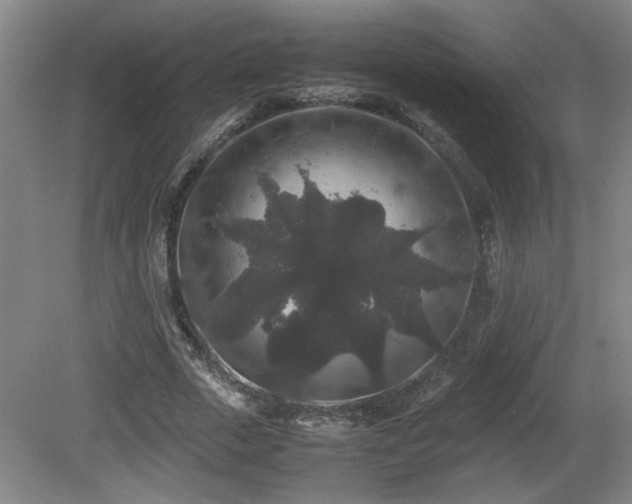 X0000081610729200701151404