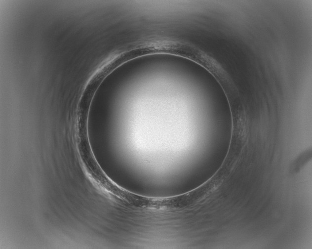 X0000081610730200701151404