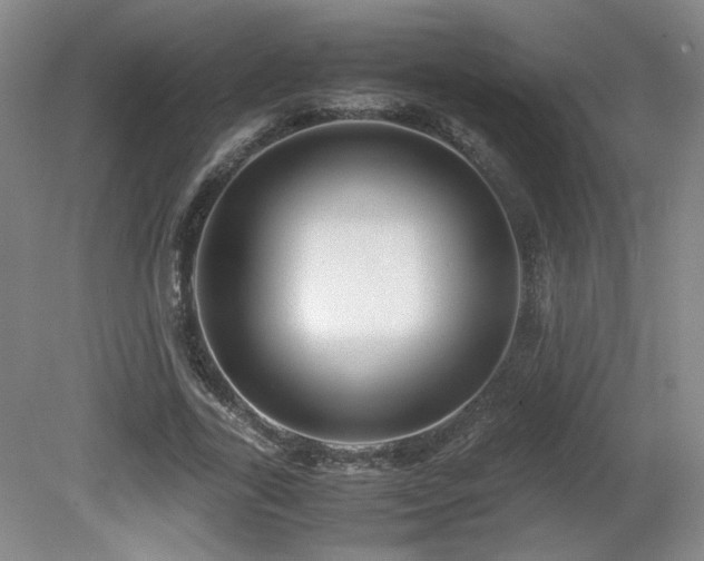 X0000081610731200701151404