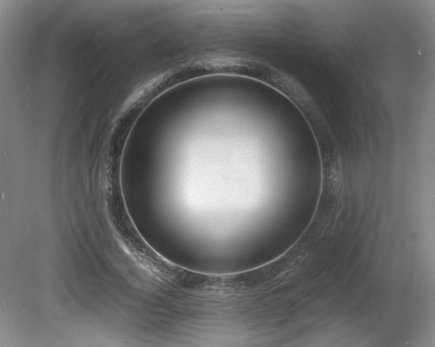 X0000081610732200701151404