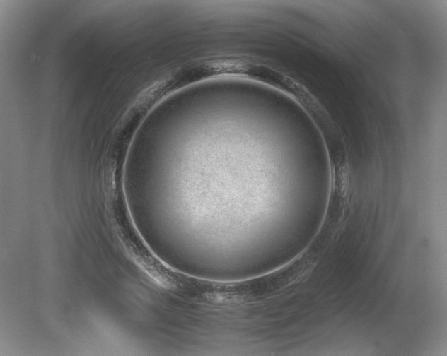 X0000081610733200701151404