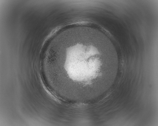 X0000081610734200701151404