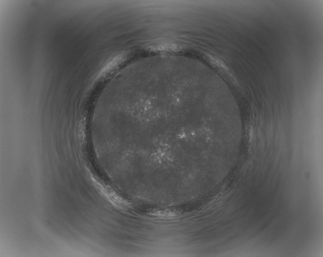 X0000081610735200701151404