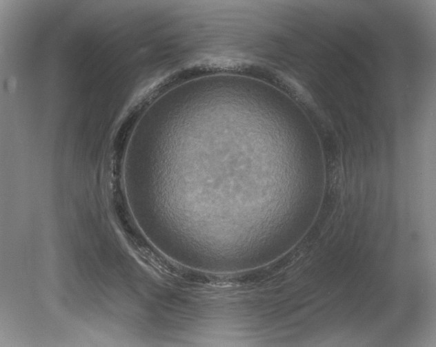 X0000081610736200701151405