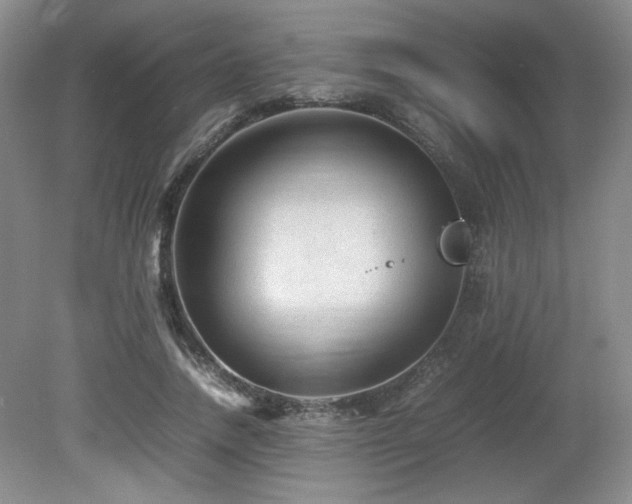 X0000081610738200701151405