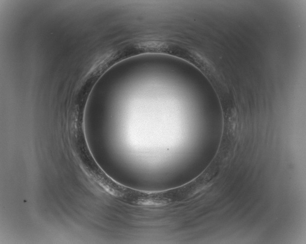 X0000081610739200701151405