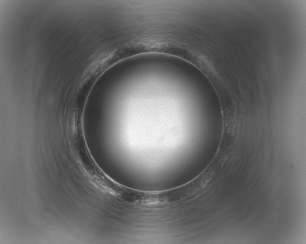 X0000081610740200701151405