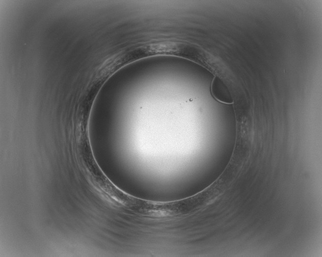 X0000081610741200701151405