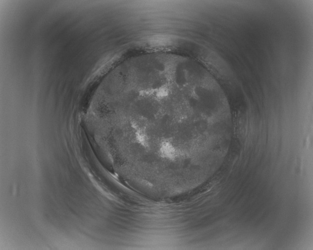 X0000081610742200701151405