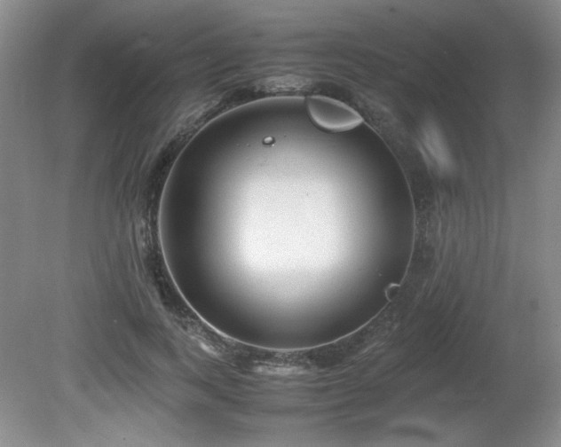 X0000081610743200701151405