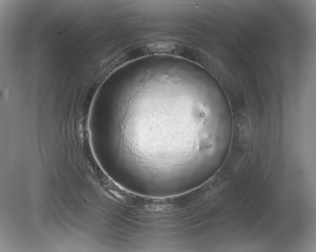 X0000081610745200701151405