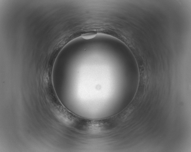 X0000081610746200701151405