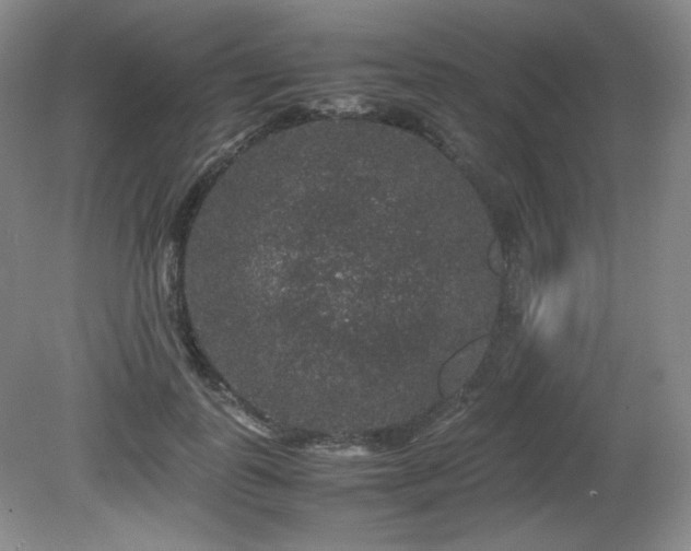 X0000081610747200701151405