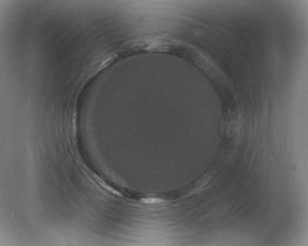 X0000081610748200701151405