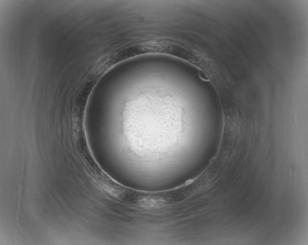 X0000081610749200701151405