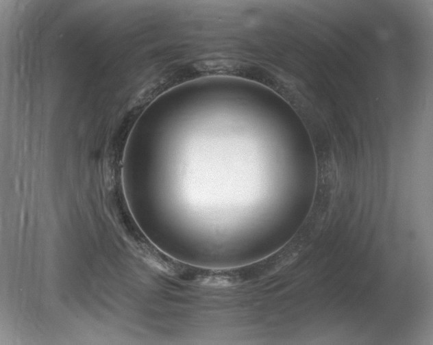 X0000081610751200701151405