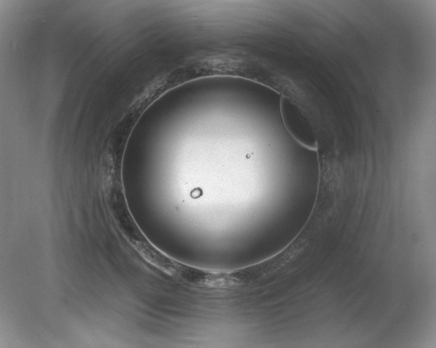 X0000081610752200701151405