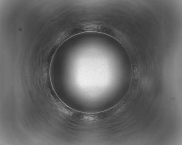 X0000081610753200701151405