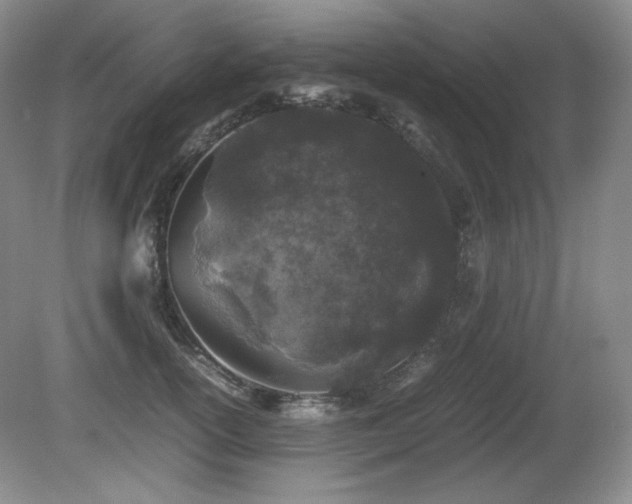 X0000081610754200701151405