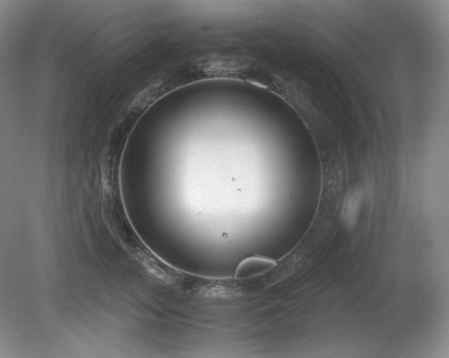 X0000081610755200701151405