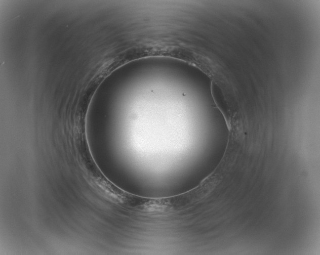 X0000081610756200701151405