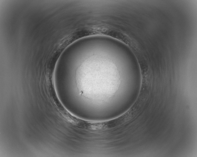 X0000081610757200701151405