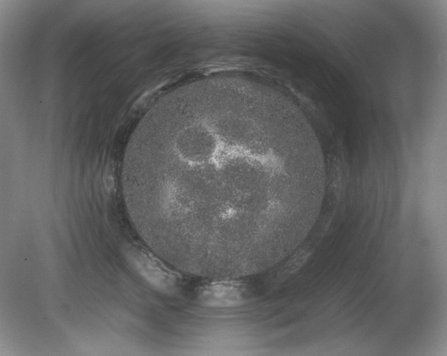 X0000081610758200701151405