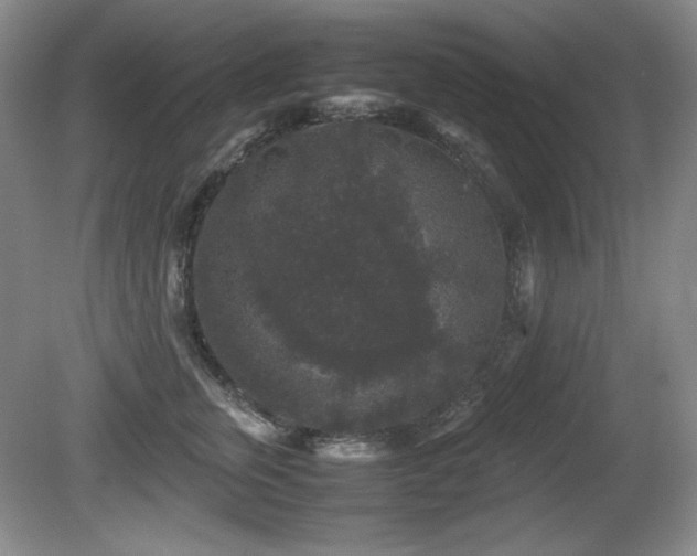 X0000081610759200701151405