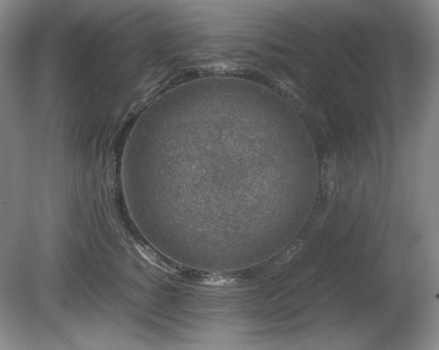 X0000081610760200701151405