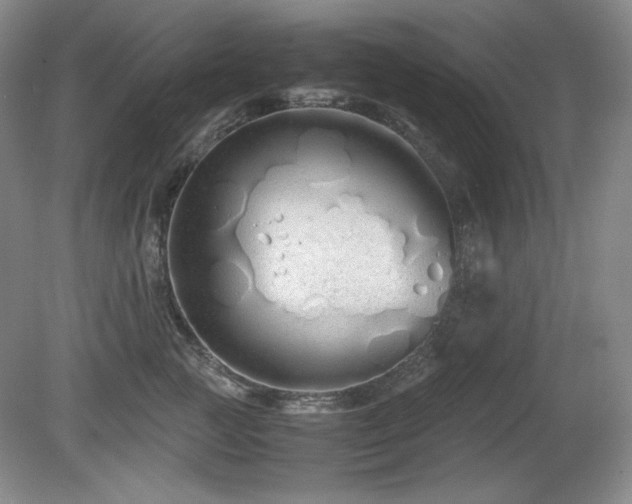 X0000081610761200701151405