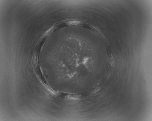 X0000081610763200701151405