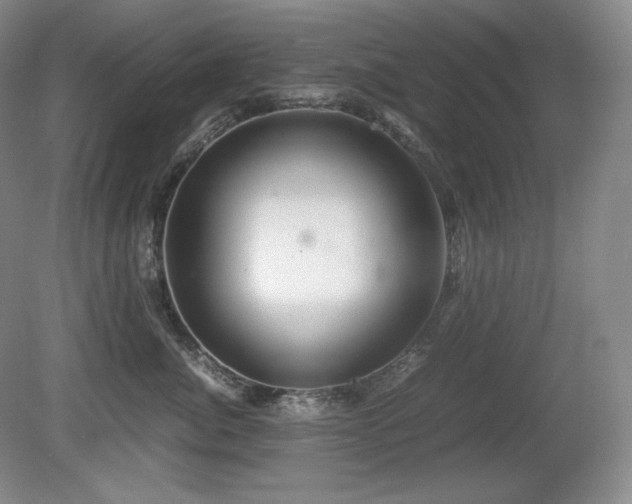 X0000081610764200701151405