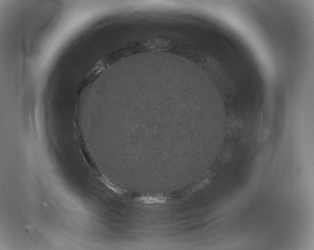 X0000081610765200701151405