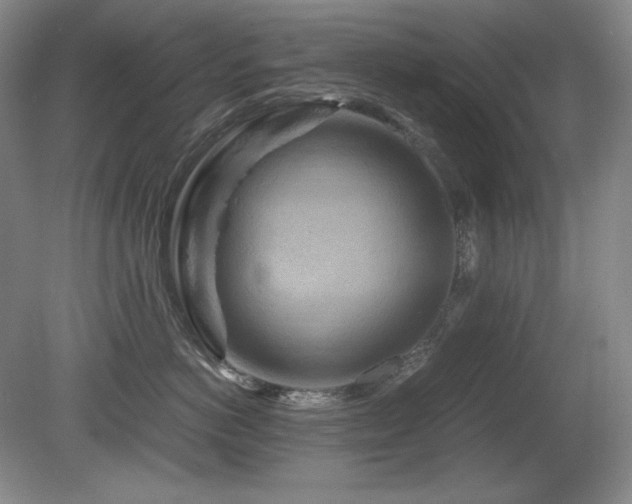 X0000081610766200701151405