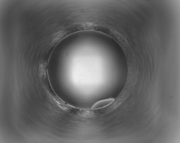 X0000081610768200701151405