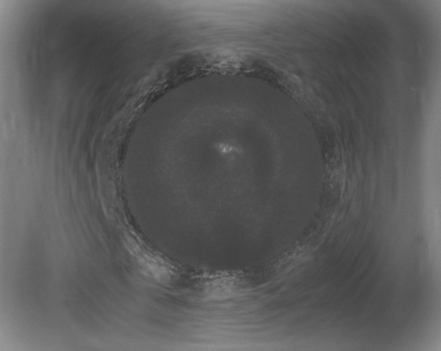 X0000081610769200701151404