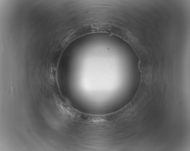 X0000081610770200701151404